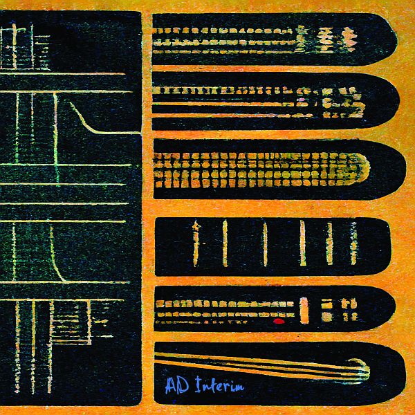 AD INTERIM - We Saw A Window LP