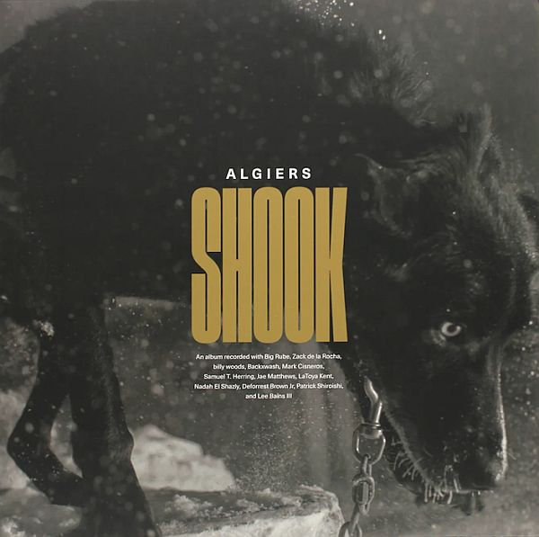 ALGIERS - Shook 2LP (colour vinyl)