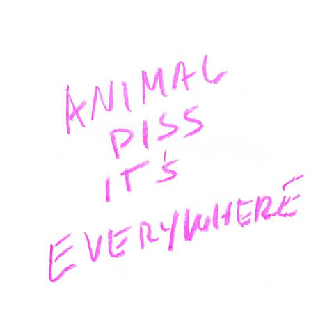 ANIMAL PISS IT'S EVERYWHERE - Grace LP