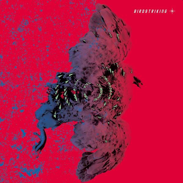 BIRDSTRIKING - s/t 2LP