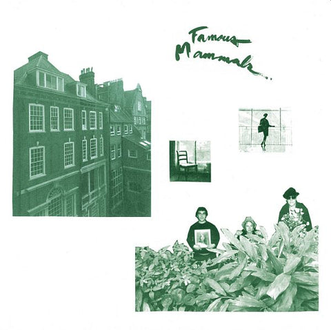 FAMOUS MAMMALS - s/t LP