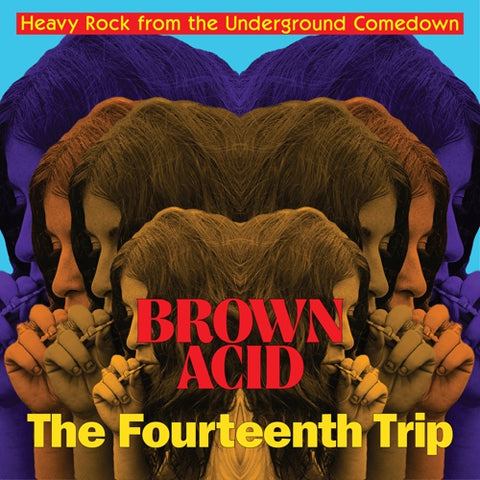 v/a- BROWN ACID: THE FOURTEENTH TRIP CD