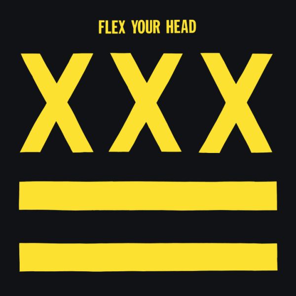 v/a- FLEX YOUR HEAD LP