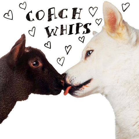 COACHWHIPS - Bangers vs Fuckers LP