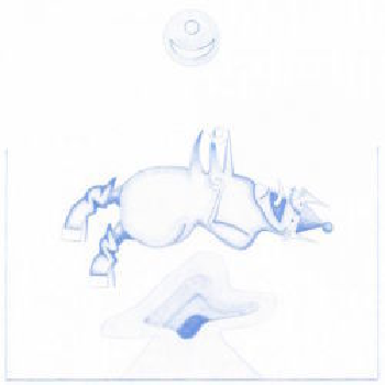 DEVENDRA BANHART- Ape In Pink Marble LP