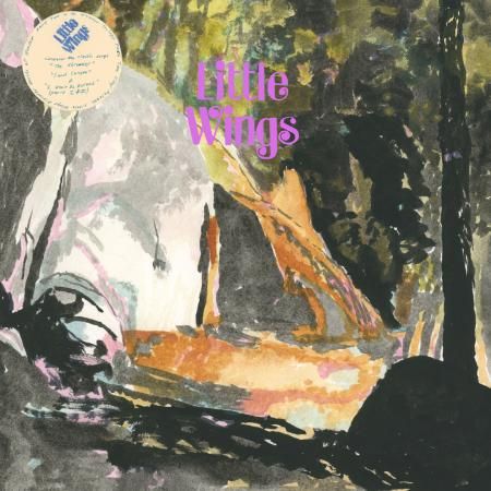 LITTLE WINGS - Discover Worlds of Wonder LP