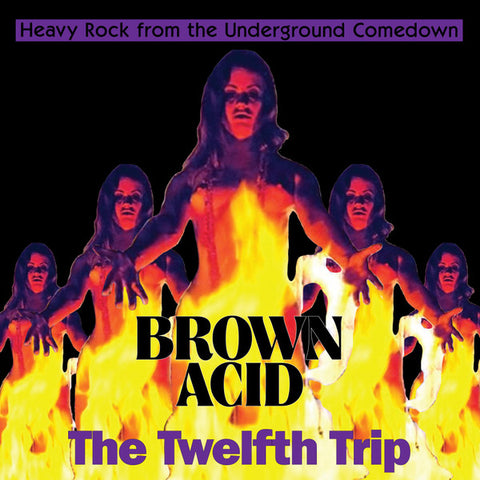 v/a- BROWN ACID: THE TWELFTH TRIP LP